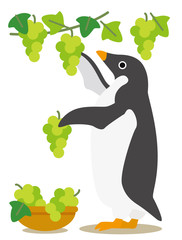 Obraz premium アデリーペンギンな日々 秋の収穫ぶどう狩り