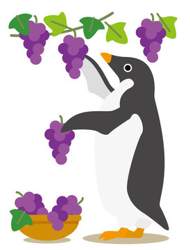 ぶどう狩り の画像 3 503 件の Stock 写真 ベクターおよびビデオ Adobe Stock