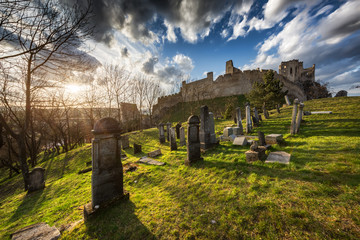Castle Beckov in Slovakia