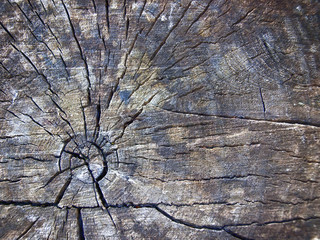 Wood texture grunge background
