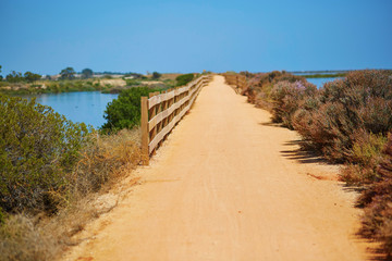 Fototapeta na wymiar Walkway along the coastline in Algarve region