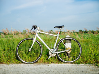 Obraz premium Vintage bicycle waiting near tree