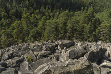 Summer day near Devill?s wall and Vltava river