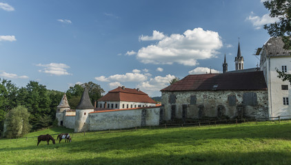 Obraz premium Monastery in Vyssi Brod town