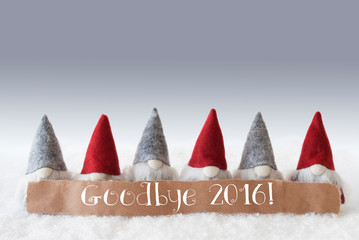 Gnomes, Green Background, Text Goodbye 2016
