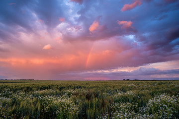 Obraz premium Sunset Rainbow