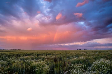 Foto op Plexiglas Sunset Rainbow © joereimerart