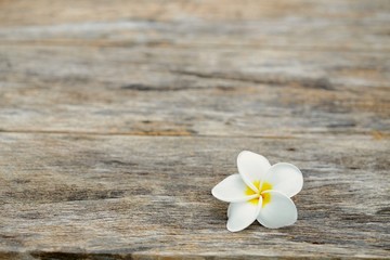 Obraz premium Frangipani flower on wooden table