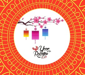 Chinese new year pattern background with lantern