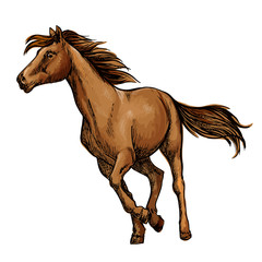 Fototapeta premium Running horse sketch with brown racehorse