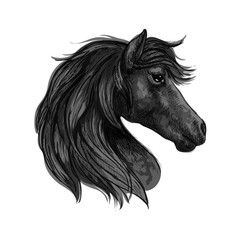 Black horse head profile portrait