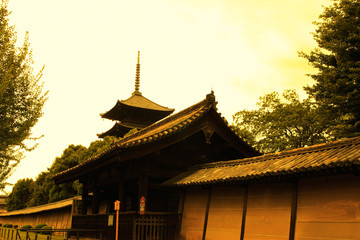 Fototapeta premium 東寺