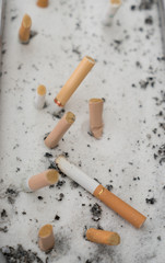 Smoked cigarettes in sand ashtray