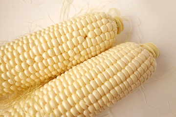  白いトウモロコシ
