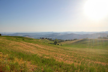 Obraz premium Emilia Romagna landscape