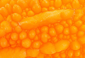 Momordica background