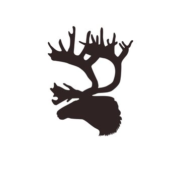 голова северного оленя