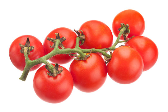 Cherry tomato bunch