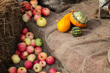 Autumn crop concept - apples, pumpkins, squash, log, hay - organic products and countryside life
