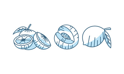 Fruit Icon