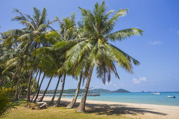 Fototapeta premium Beautiful tropical beach at island Koh Chang