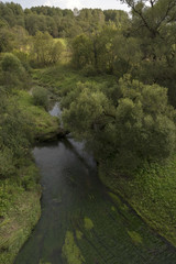 Река Колочь на Бородинском поле.
