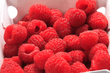 ラズベリー 