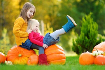 Two pretty little sisters having fun together on a pumpkin patch - obrazy, fototapety, plakaty