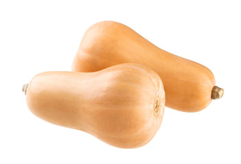 Butternut squash isolated on a white background