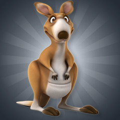 Fun kangaroo © Julien Tromeur