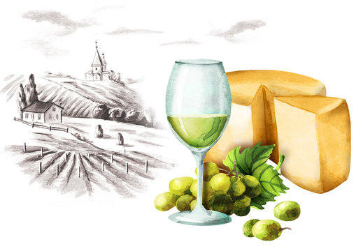 White wine, cheese and landscape. Watercolor
