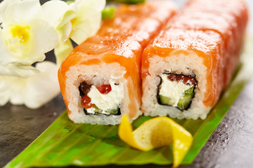 Salmon Sushi Roll