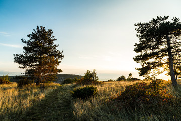 Autumn evening in Val Rosandra
