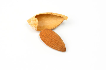 Almond nut in shell