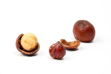 Macadamia nut and shell