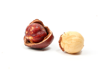 Macadamia nut and shell