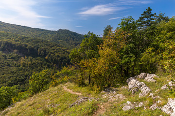European nature during early autumn. Central Slovakia