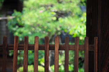 Fototapeta premium 柵