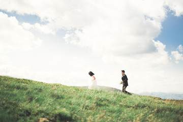 Fototapeta premium Kissing wedding couple staying over beautiful landscape