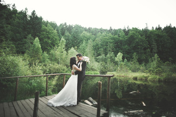 Charming bride, elegant groom on landscapes of mountains and sunset at lake. Gorgeous wedding couple
