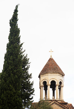 The church and the tree.