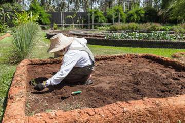 farmer wearing hat and white shirt is preparing soil for agricul