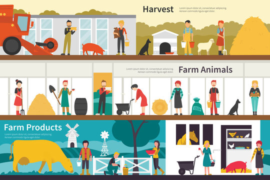 Harvest Farm Animals Products flat interior outdoor concept web