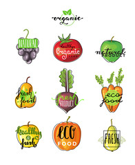 Hand lettering logo of vegetarian ecology fresh food