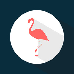 Icon. Flamingo. Beautiful bird. Round. Web. Flat style. For your design