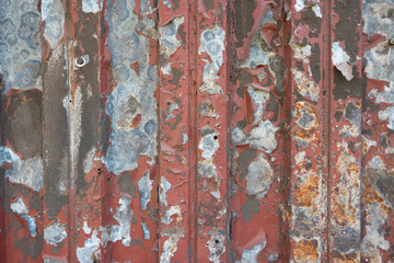 Rost