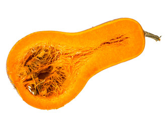 Fresh Tasty Sweet Pumpkin on White Background