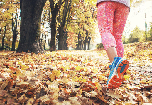 Autumn runner legs close up image