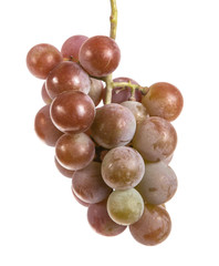 bunch of ripe purple grapes. isolated on white background