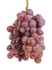 bunch of ripe purple grapes. isolated on white background